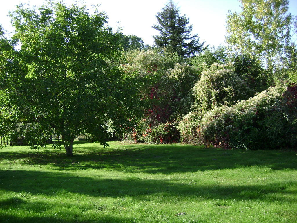 Les Chandelles Bed & Breakfast Villiers-le-Morhier Buitenkant foto